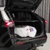 36 Suzuki Across 2.5 PHEV 306 ch E-Four First Edition